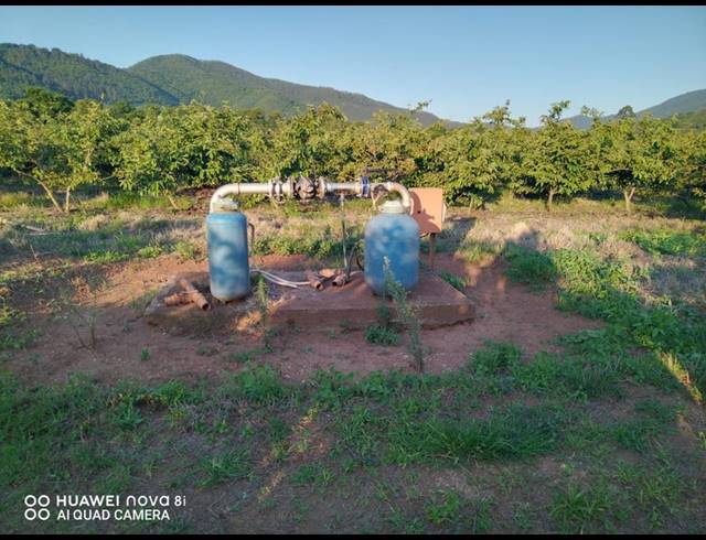 29HA FARM FOR SALE IN LEVUBU